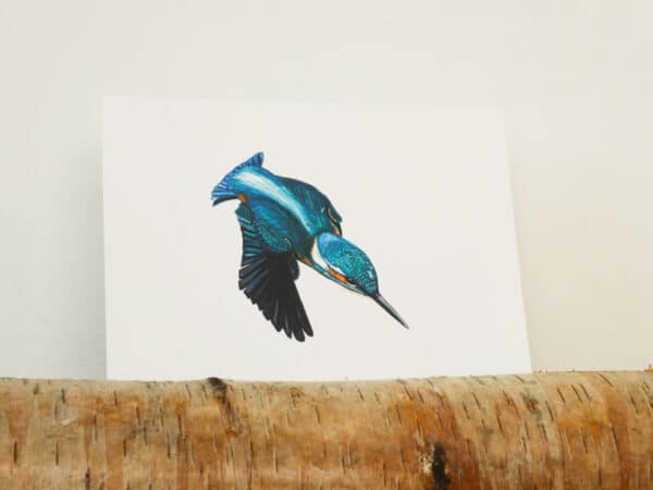 Ansichtkaart 'Duikende ijsvogel'