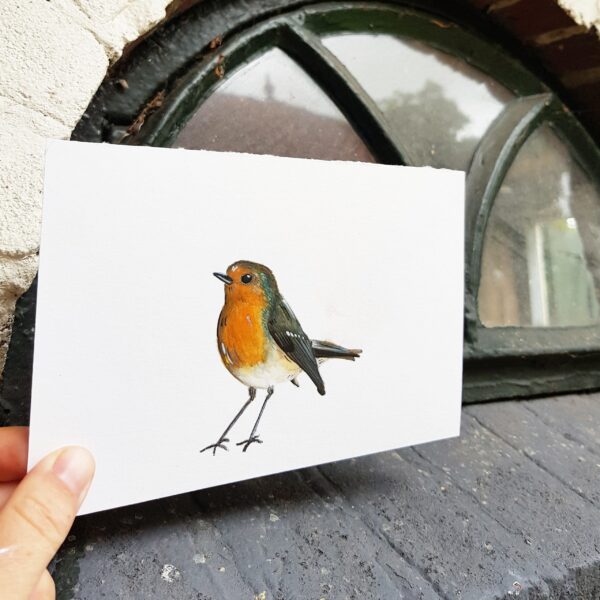 kaart Roodborst
